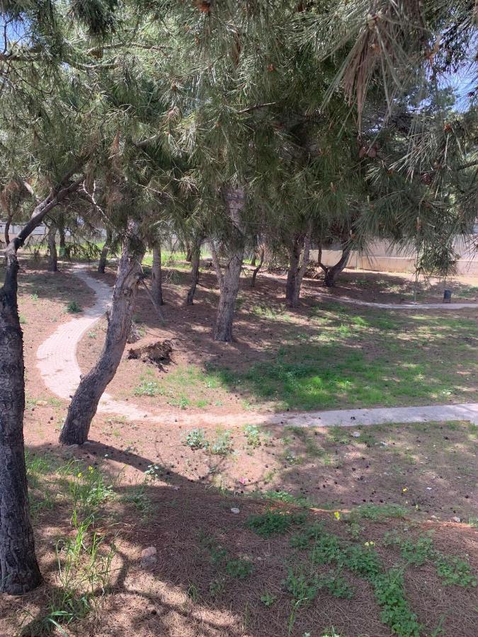 Apartamento De Ensueno غاروشا المظهر الخارجي الصورة